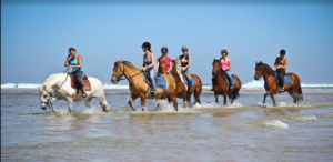 cheval