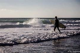 surf